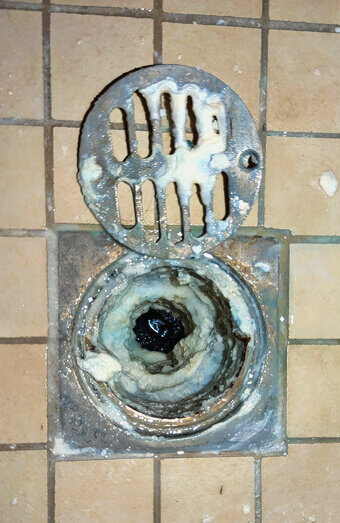 https://blockeddrainsdoubleview.com.au/uploads/2025/07/blocked-shower-drains-86331.jpg