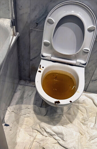 https://blockeddrainsdoubleview.com.au/uploads/2025/07/blocked-toilet-27793.jpg