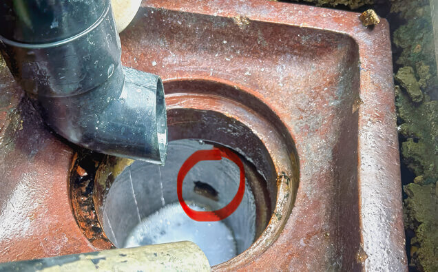 https://blockeddrainsdoubleview.com.au/uploads/2025/07/hero-blocked-sewers-17074.jpg