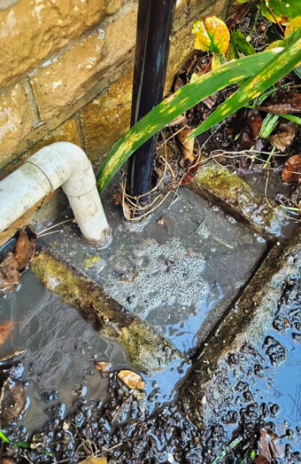 https://blockeddrainsdoubleview.com.au/uploads/2025/07/hero-blocked-sewers-51219.jpg