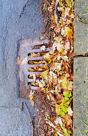 https://blockeddrainsdoubleview.com.au/uploads/2025/07/stormwater-drains-48051.jpg