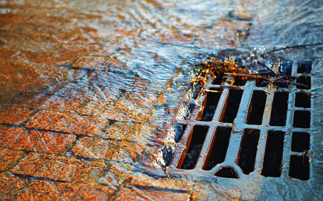 https://blockeddrainsdoubleview.com.au/uploads/2025/07/stormwater-drains-91028.jpg